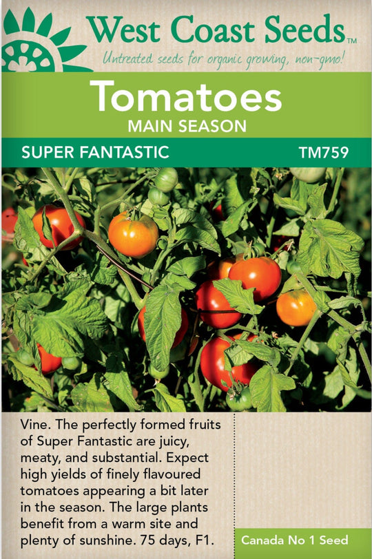 Tomato Super Fantastic - West Coast Seeds