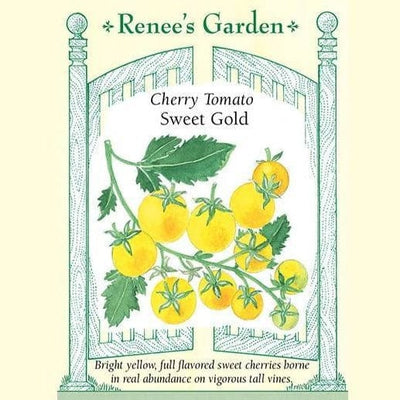 Tomato Sweet Gold F1 - Renee's Garden Seeds