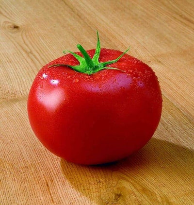 Tomato Tasti-Lee - West Coast Seeds