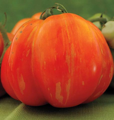 Tomato Vintage Wine - West Coast Seeds