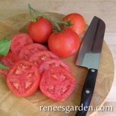 Tomatoes Crimson Camello - Renee's Garden 