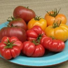 Tomatoes Summer Feast - Renee's Garden