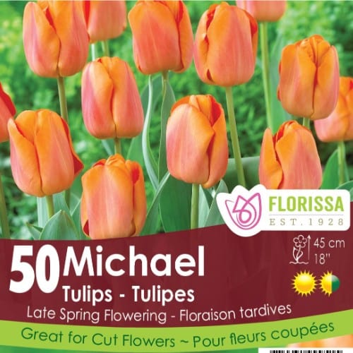 Tulip - Michael - Mesh Bag, 50 Pack