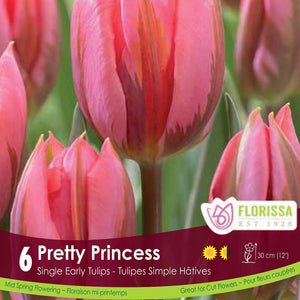 Single Early Pink Tulip Pretty Princess