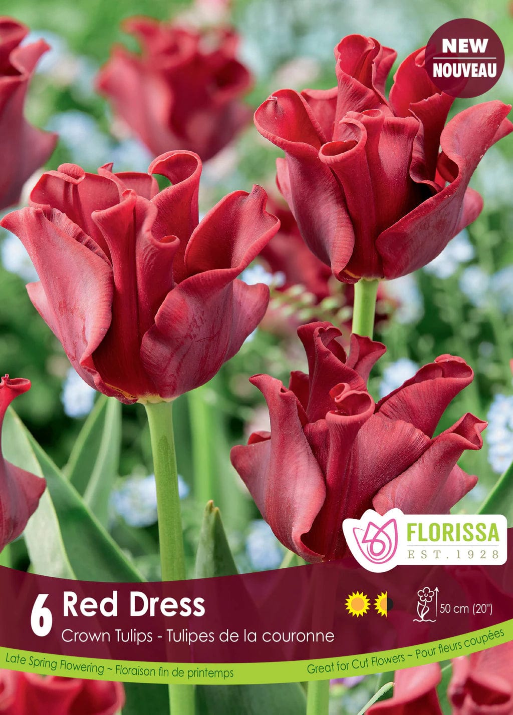 Tulip - Red Dress, 6 Pack