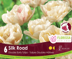 Tulip Silk Road 