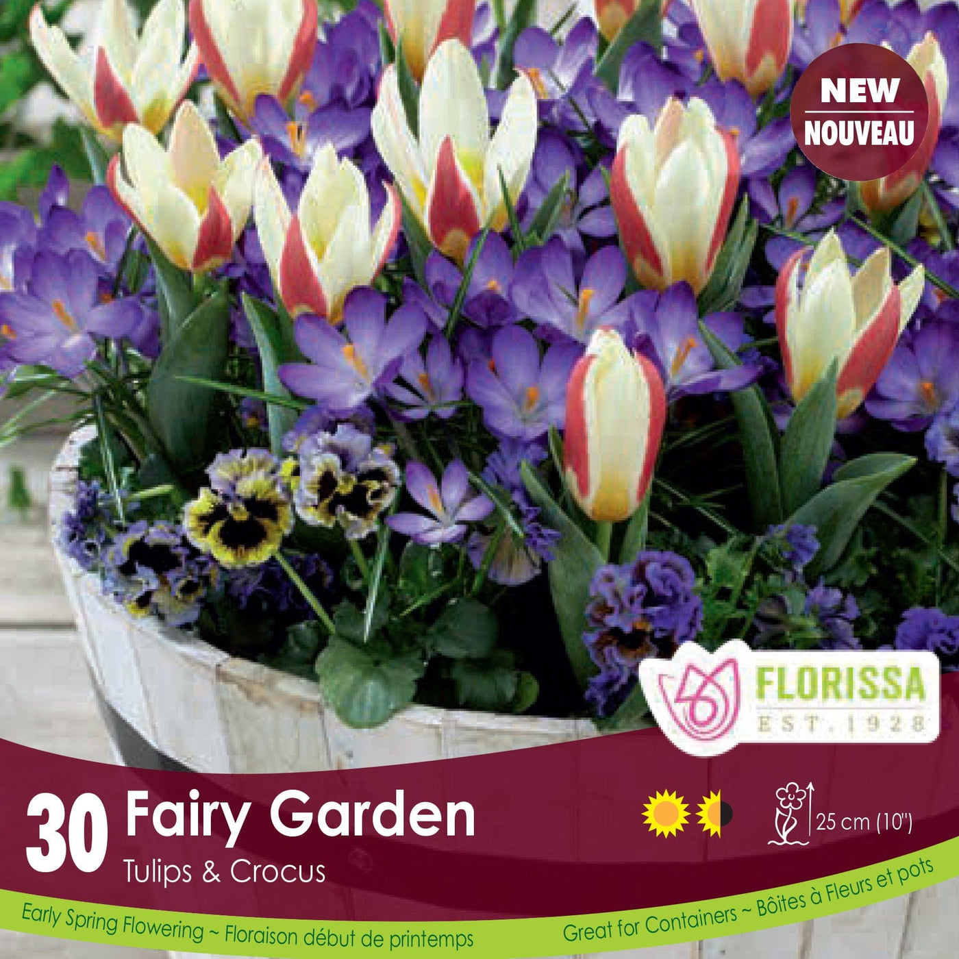 Tulip & Crocus Fairy Garden Purple White Pink and Yellow