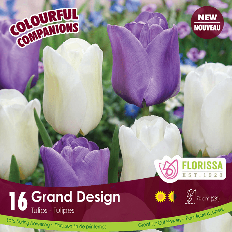 Tulips - Grand Design, Colourful Companions, 16 Pack