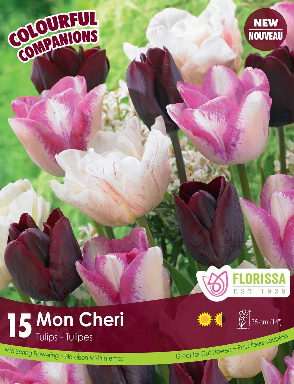 Tulips - Mon Cheri, Colorful Companions, 15 pack