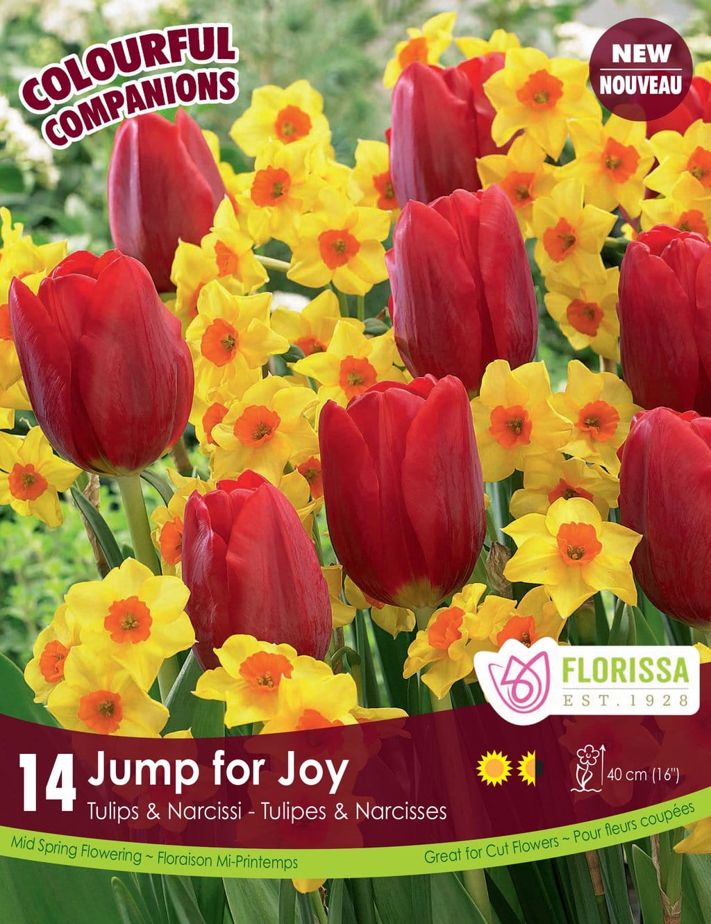 Tulips & Narcissi, Jump for Joy, Colorful Companions  - 14 pack