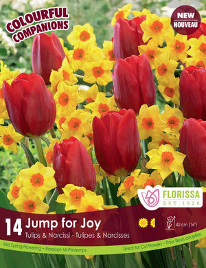 Tulips & Narcissi, Jump for Joy, Colorful Companions  - 14 pack