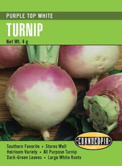 Turnip Purple Top White - Cornucopia Seeds