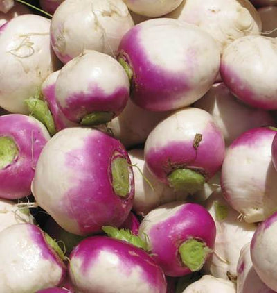 Turnips Purple Top - West Coast Seeds