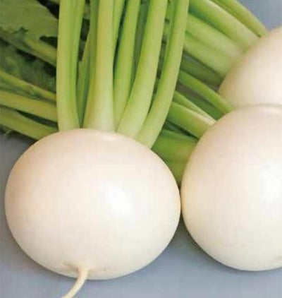 Turnips Silky Sweet - West Coast Seeds Ltd