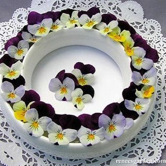 Violas Johnny Jump Ups - Renee's Garden Seeds