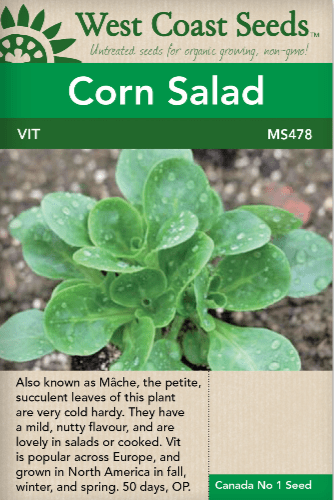 Vit Corn Salad Mache - West Coast Seeds