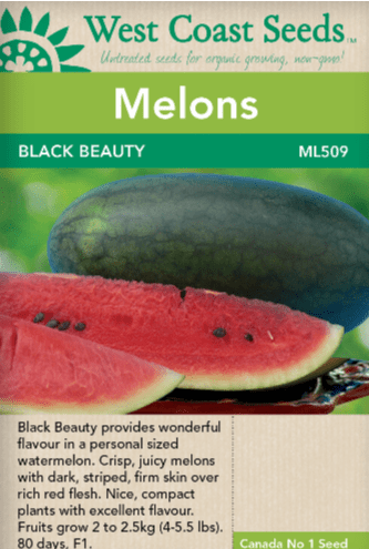 Melons Black Beauty - West Coast Seeds