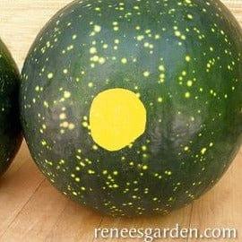 Watermelon Moon & Stars - Renee's Garden Seeds