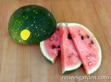 Organic Watermelon Moon & Stars - Renee's Garden