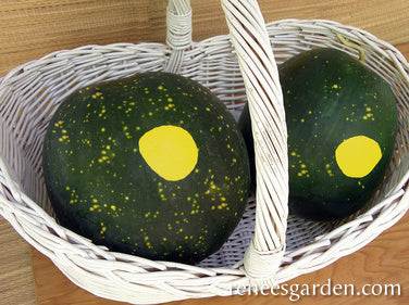 Organic Watermelon Moon & Stars - Renee's Garden