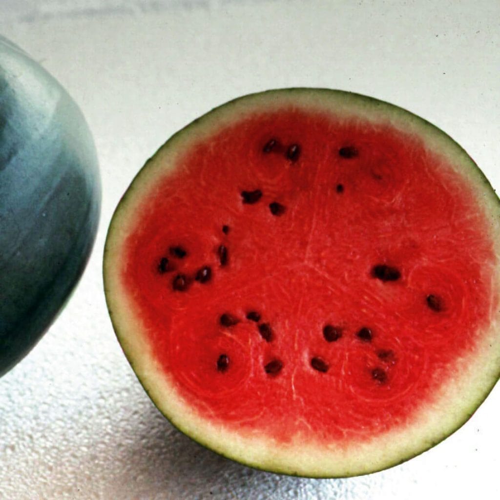 Watermelon Sugar Baby - Aimer's Organic Seeds