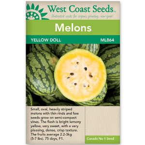 Melons Yellow Doll - West Coast Seeds