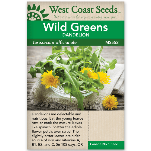 Wild Greens Dandelion - West Coast Seeds