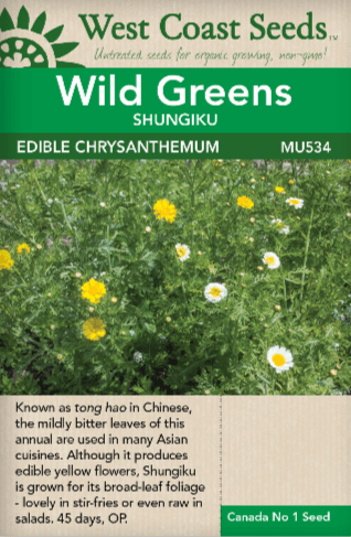 Wild Greens Edible Chrysanthemum Shungiku - West Coast Seeds