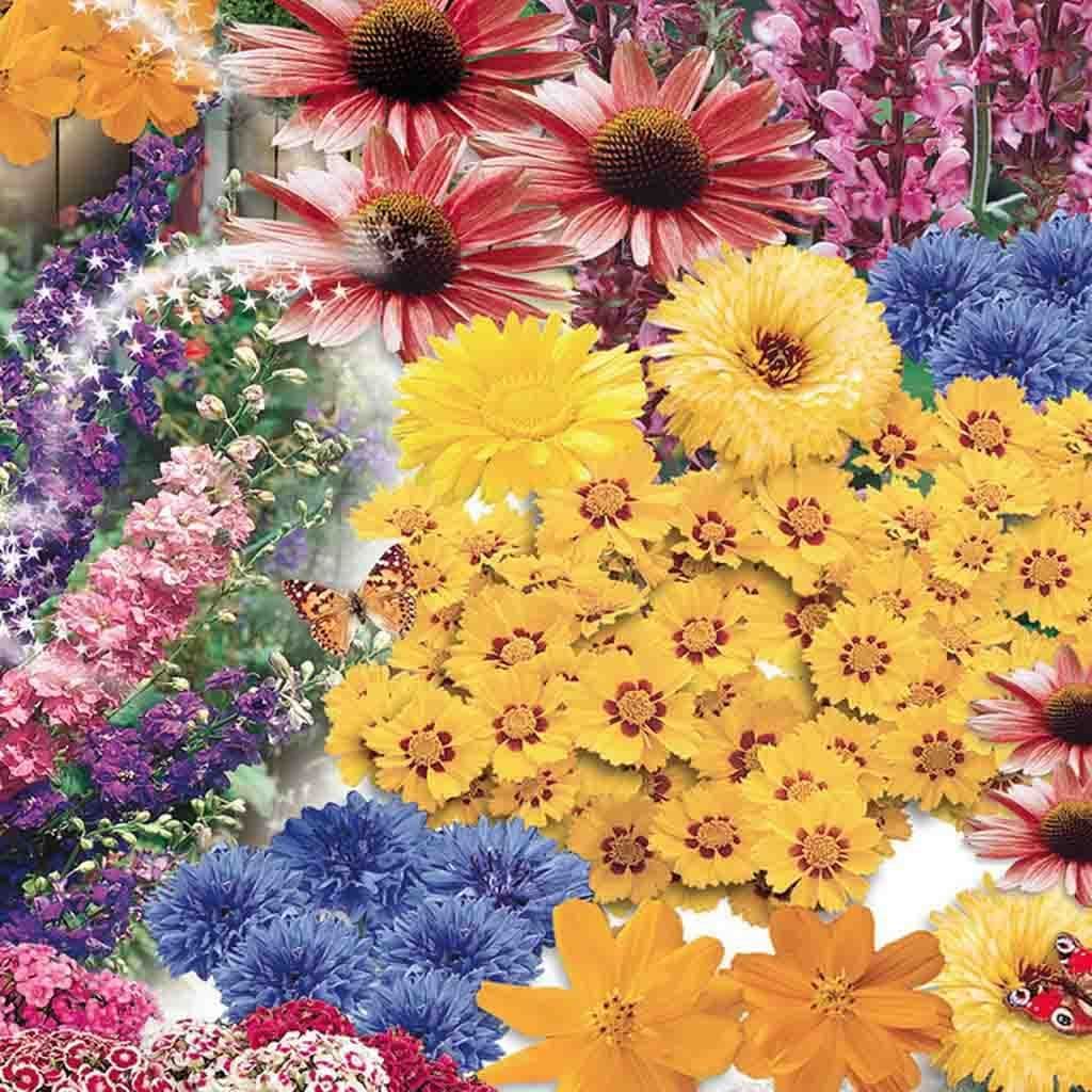 Wildflowers Butterfly Jumbo Pack - McKenzie Seeds