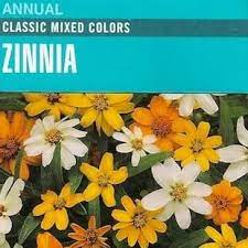 Zinnia Classic Mixed Colours - Cornucopia Seeds