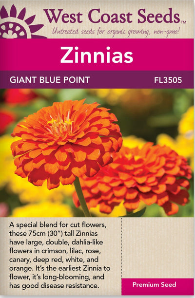 Zinnia Giant Blue Point Formula - West Coast Seeds