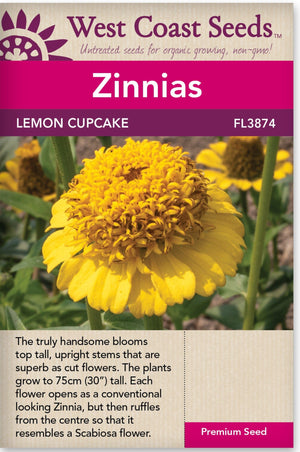 Zinnia Lemon Cupcake - West Coast Seeds