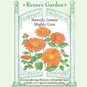 Zinnia Mighty Lion - Renee's Garden Seeds