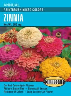 Zinnia Paintbrush Mixed Colours - Cornucopia Seeds