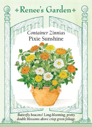 Zinnia Pixie Sunshine - Renee's Garden Seeds