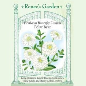 Zinnia Polar Bear - Renee's Garden Seeds