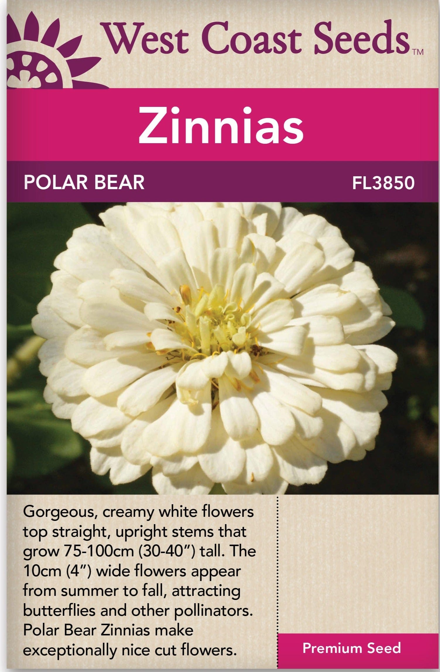 Zinnia Polar Bear - West Coast Seeds