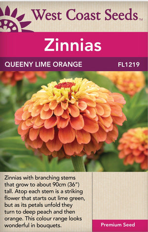 Zinnia Queeny Lime Orange - West Coast Seeds