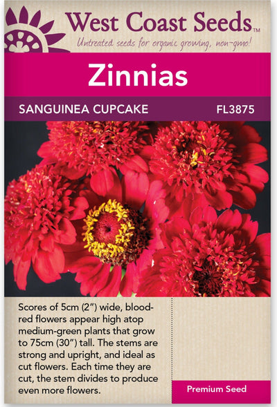 Zinnia Sanguinea Cupcake - West Coast Seeds