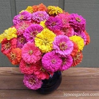 Zinnias Cabaret - Renee's Garden Seeds