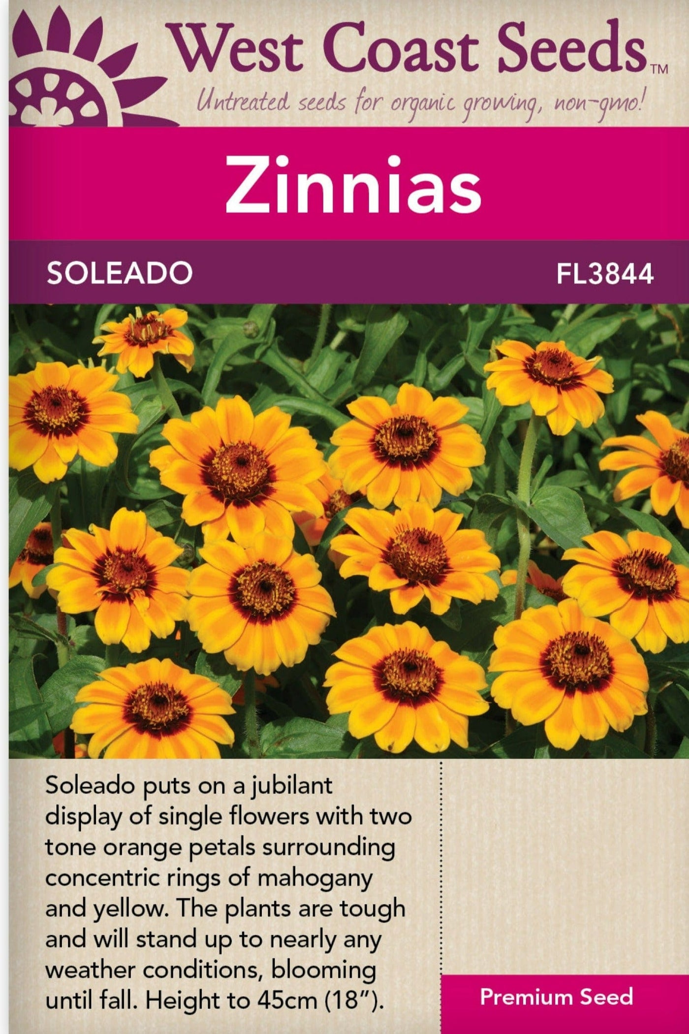 Zinnias Soleado - West Coast Seeds Ltd West Coast Seeds Ltd