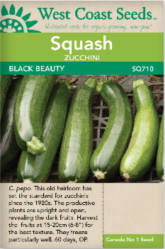 Zucchini Black Beauty - West Coast Seeds