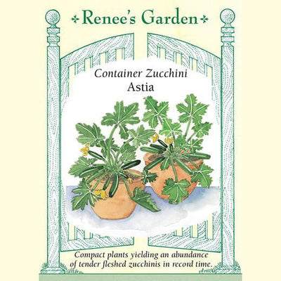 Zucchini Container Astia - Renee's Garden
