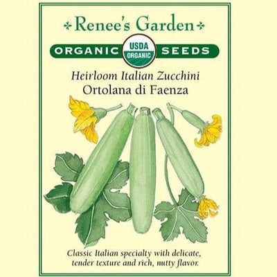 Zucchini Ortolana di Faenza - Renee's Garden Seeds