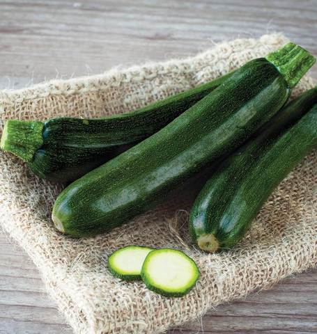 Zucchini Raven - West Coast Seeds