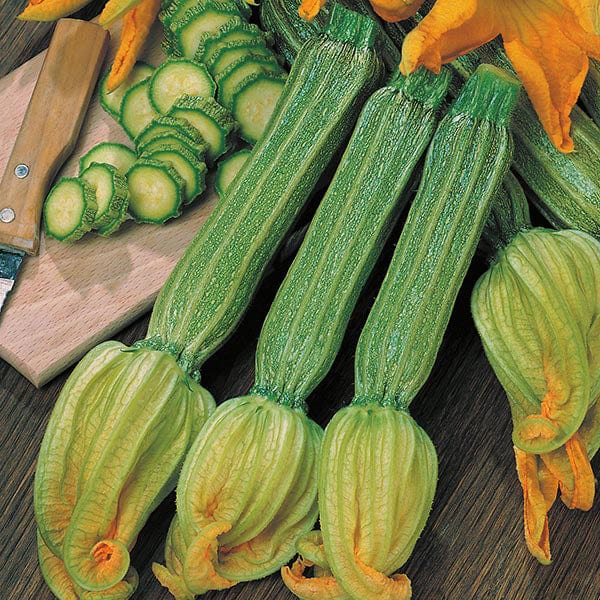 Squash Zucchini Romanesco - Mr. Fothergill's Seeds