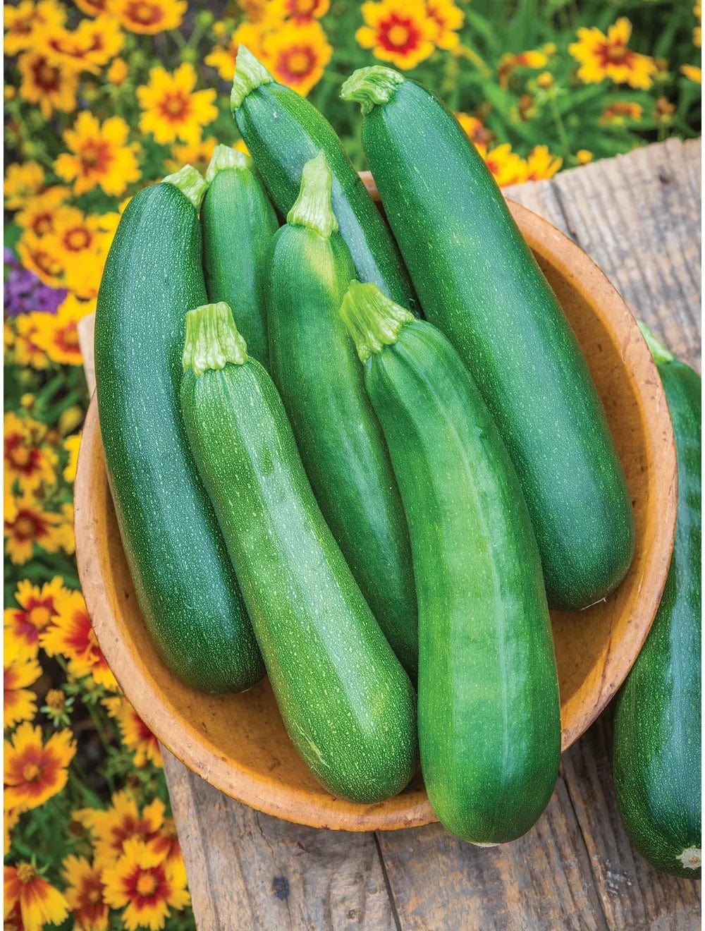 Zucchini Sure Thing Hybrid - Burpee Seeds Burpee Canada