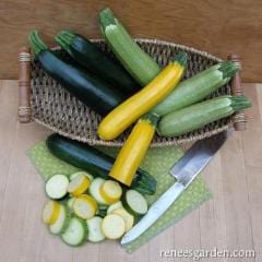 Zucchini Tricolour - Renee's Garden